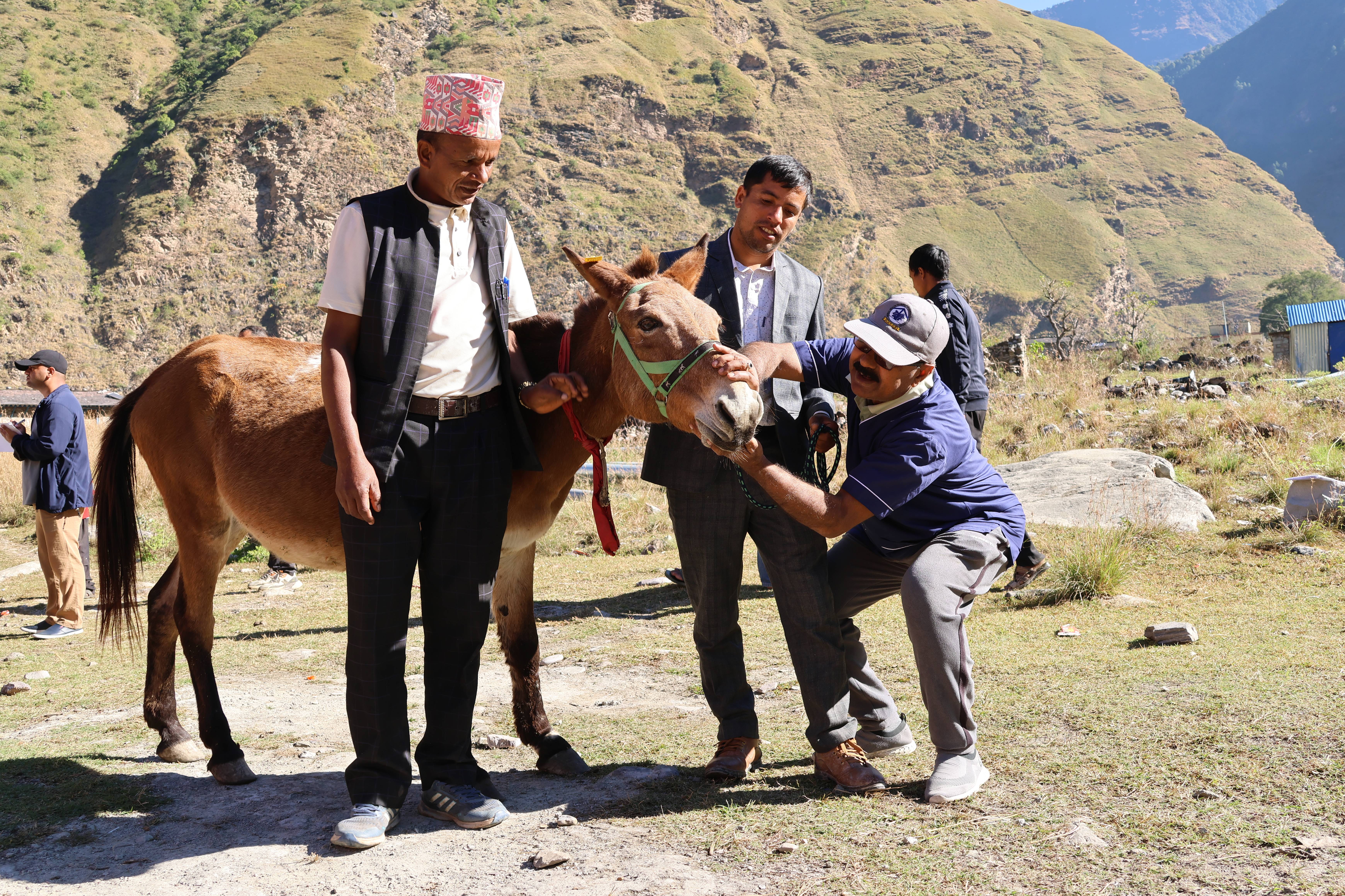 Gallop for Good